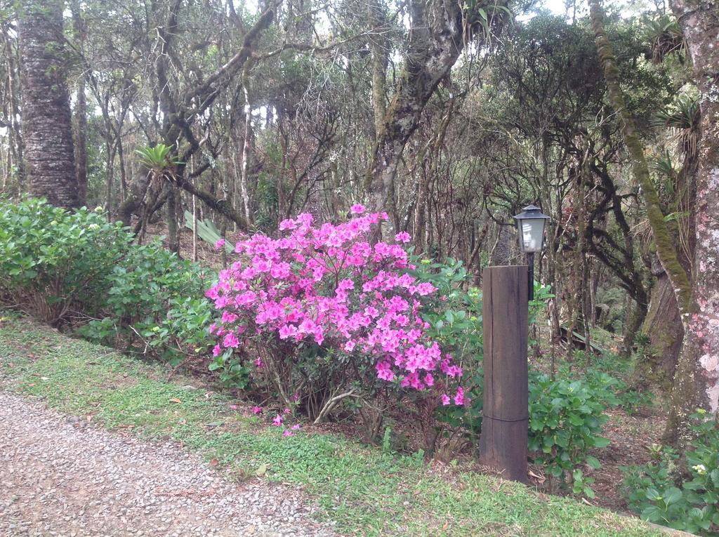 Chales Do Ferradura Campos do Jordão Eksteriør bilde