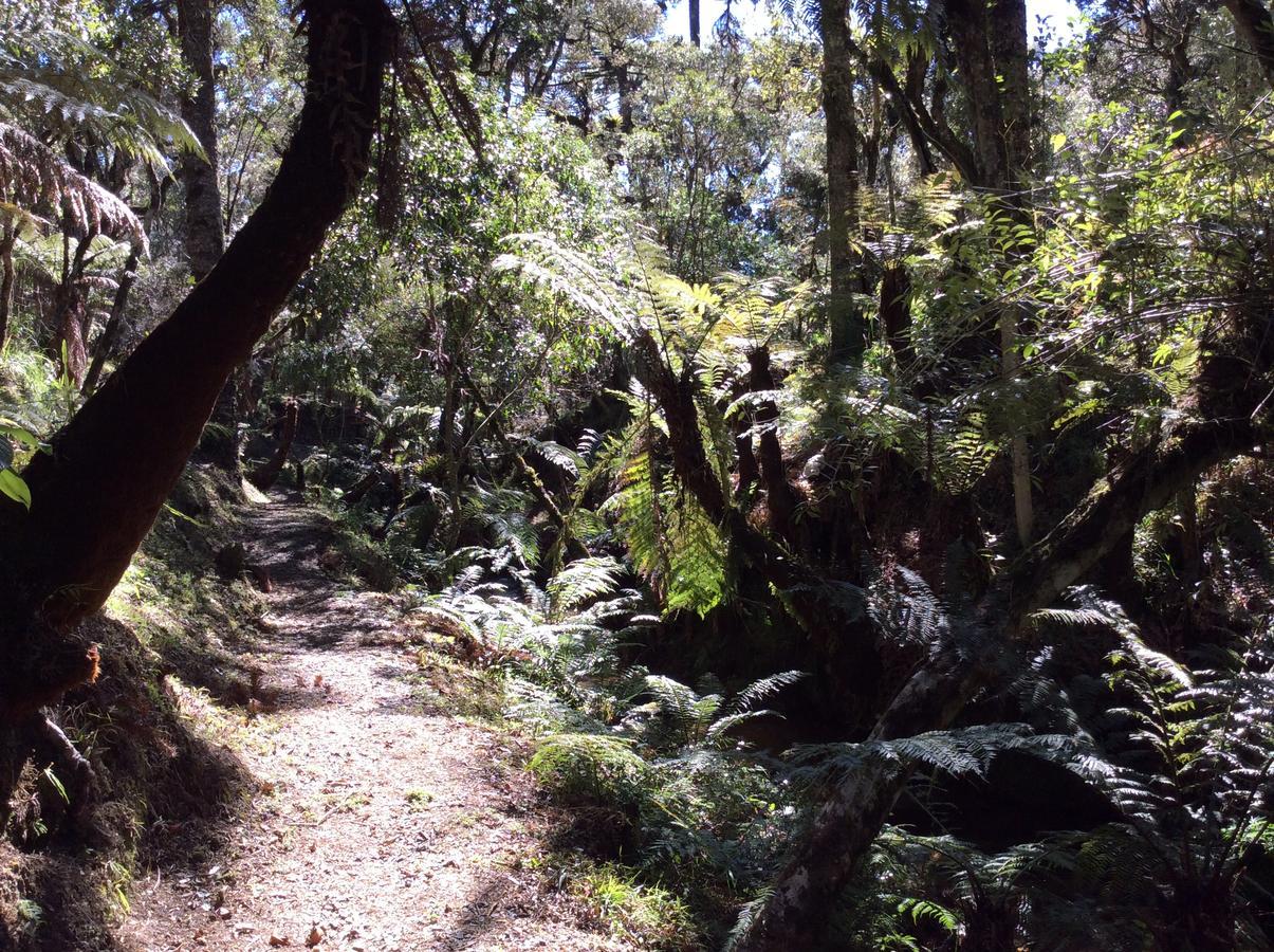 Chales Do Ferradura Campos do Jordão Eksteriør bilde