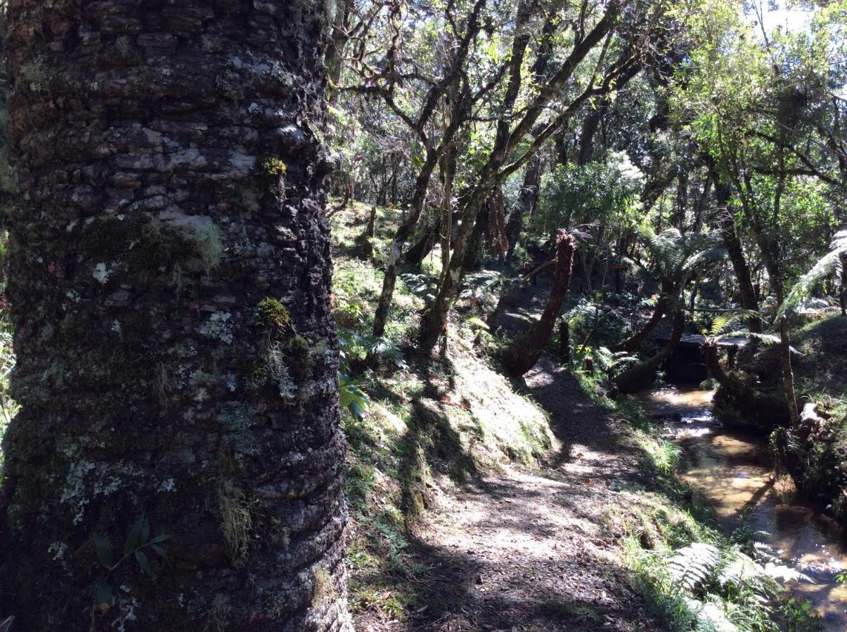 Chales Do Ferradura Campos do Jordão Eksteriør bilde